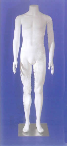 Male Headless Full Body Mannequin/Arms at Sides