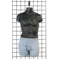 Male Half Round Body Forms